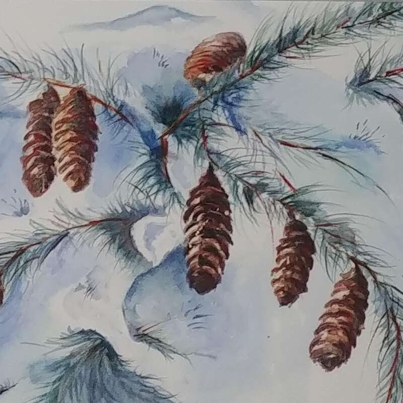 Snow cones Snow cones