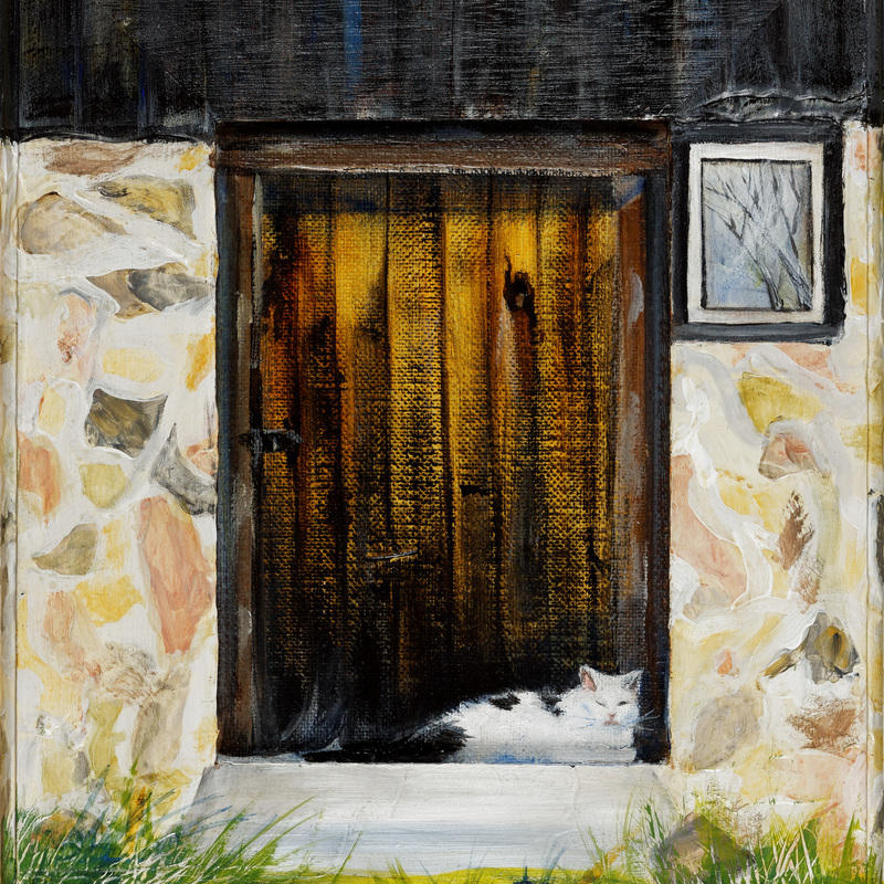 Afternoon Siesta Afternoon Siesta