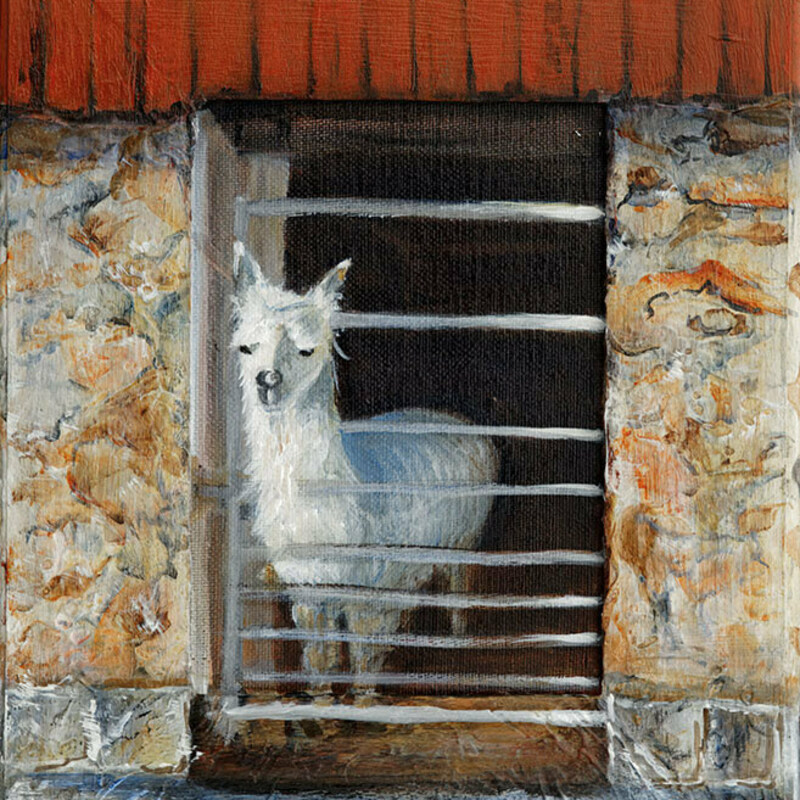 Lucie Llama Lucie Llama