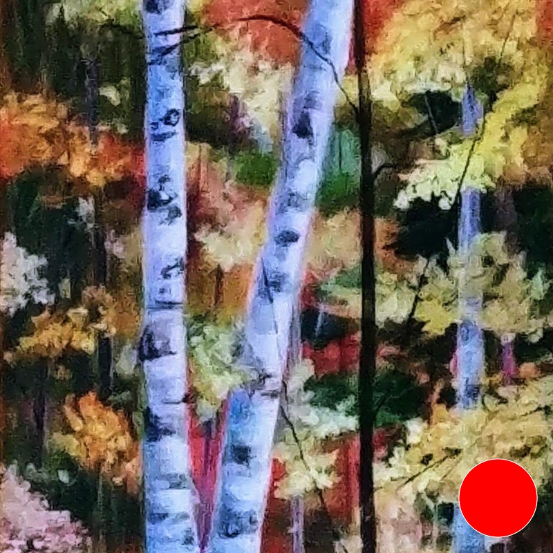 Cottage Birches Cottage Birches